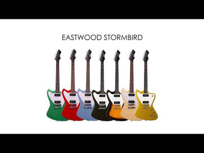 Eastwood Stormbird #color_black